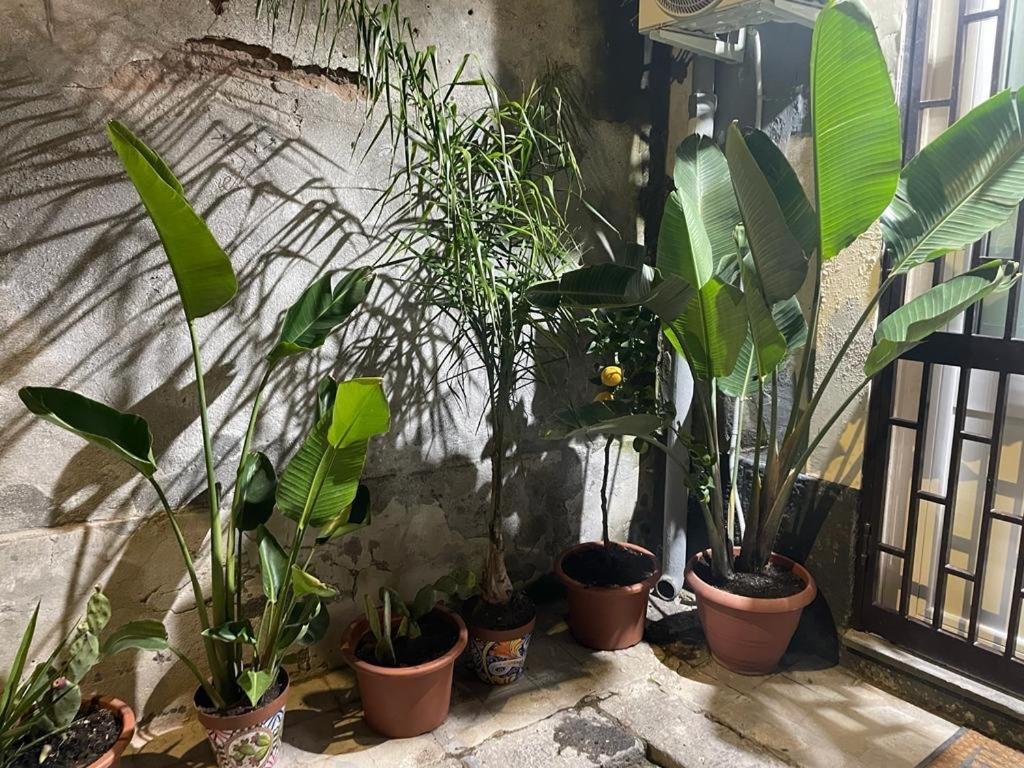 Conny's House Apartment